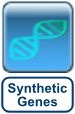 de novo DNA synthesis, artificial DNA, standard DNA sequences, synthetic gene, synthetic genes, gene synthesi